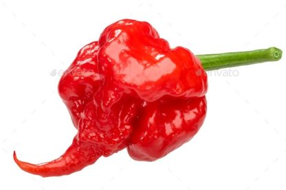 Pepper, Carolina Reaper