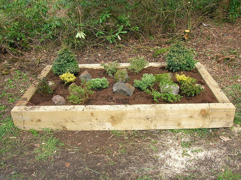 raised garden bed