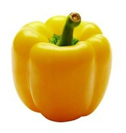 Pepper, Golden CalWonder