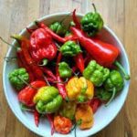 Hot Peppers