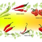 Peppers