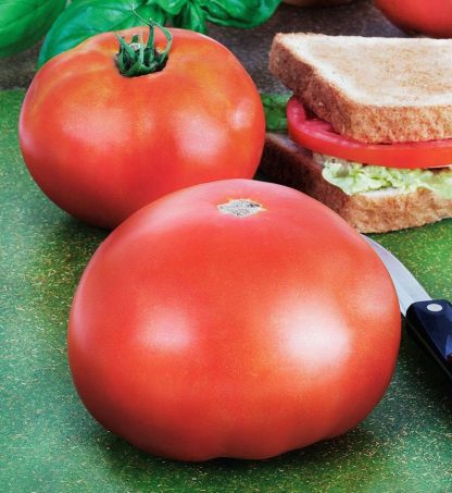 tomato-parks-whopper