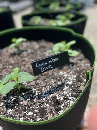 plant label and garden marker