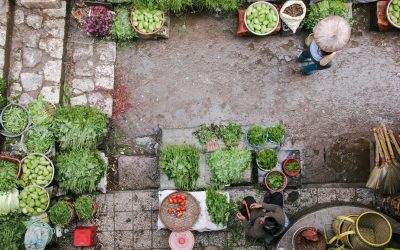 Small Garden Design Ideas for Maximum Impact