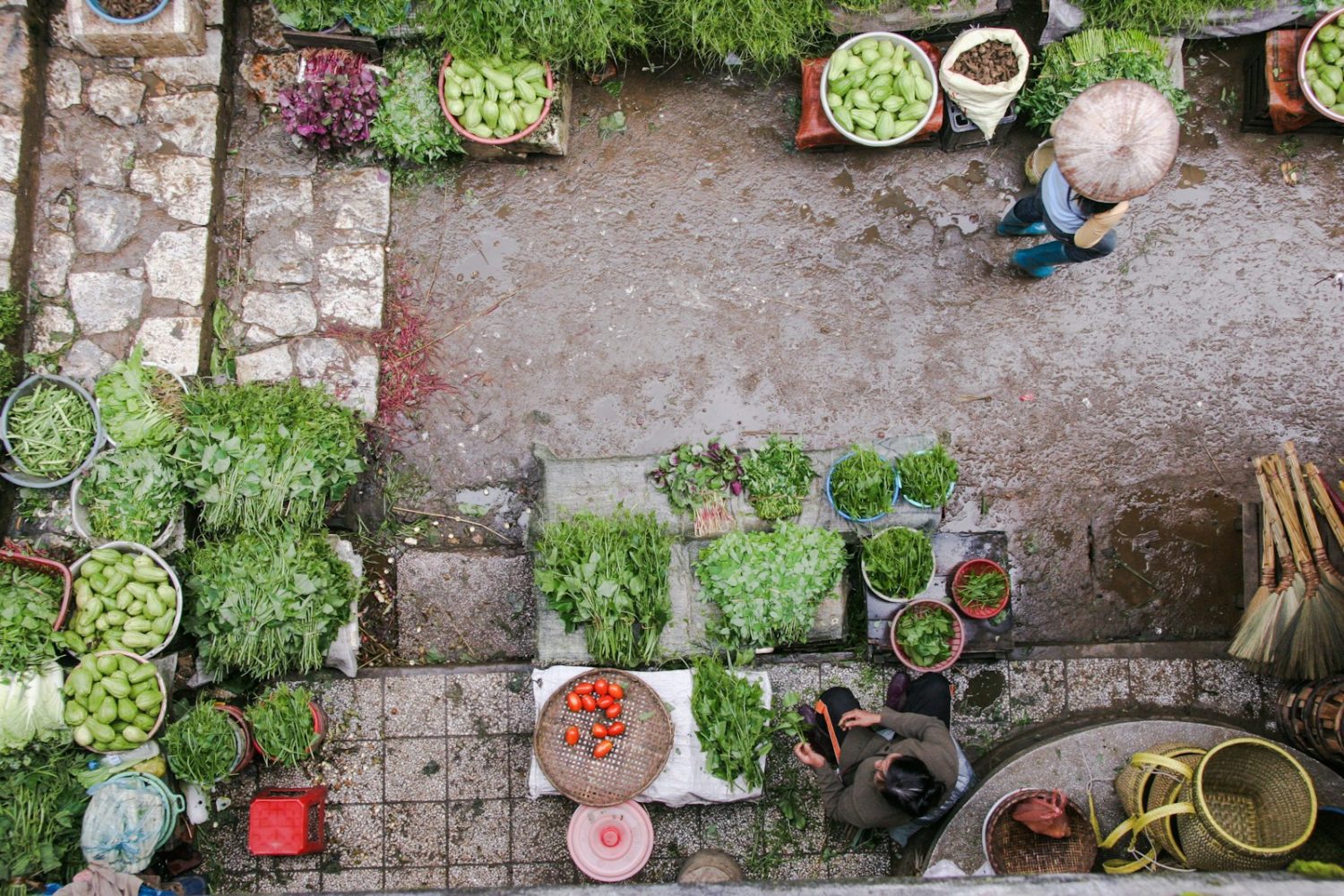 Small Garden Design Ideas for Maximum Impact