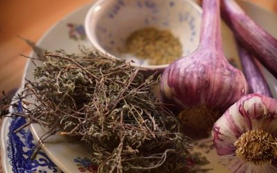 Home Remedies from the Garden for Itch, Indigestion, and Insomnia
