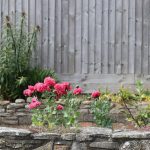 How to Fill a Raised Garden Bed: A Step-by-Step Guide