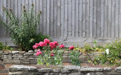 How to Fill a Raised Garden Bed: A Step-by-Step Guide