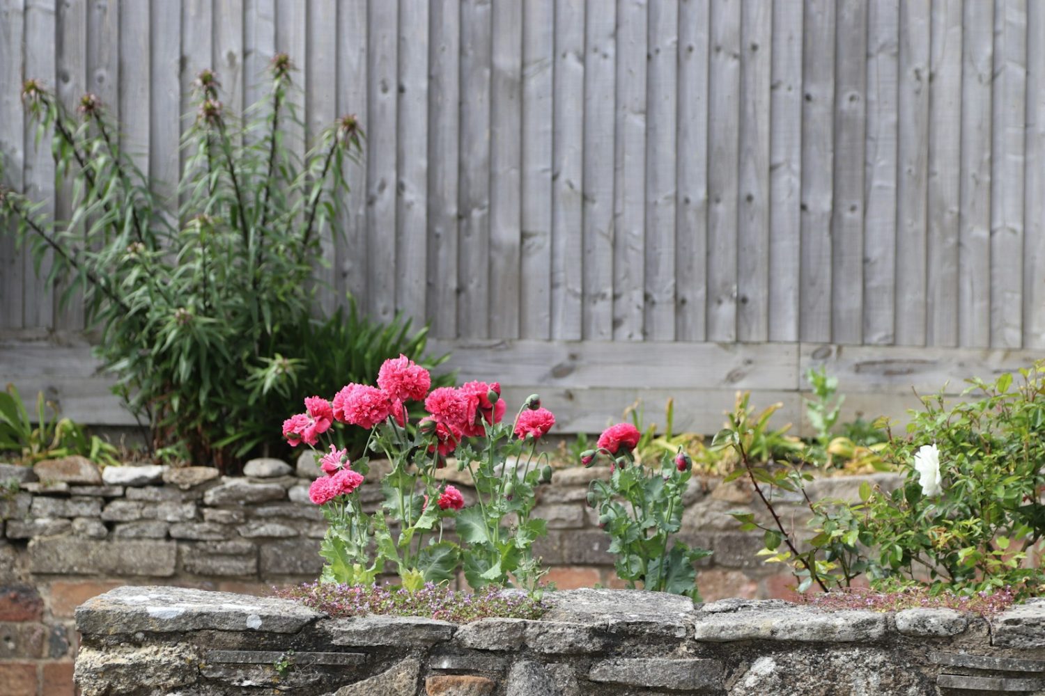 How to Fill a Raised Garden Bed: A Step-by-Step Guide