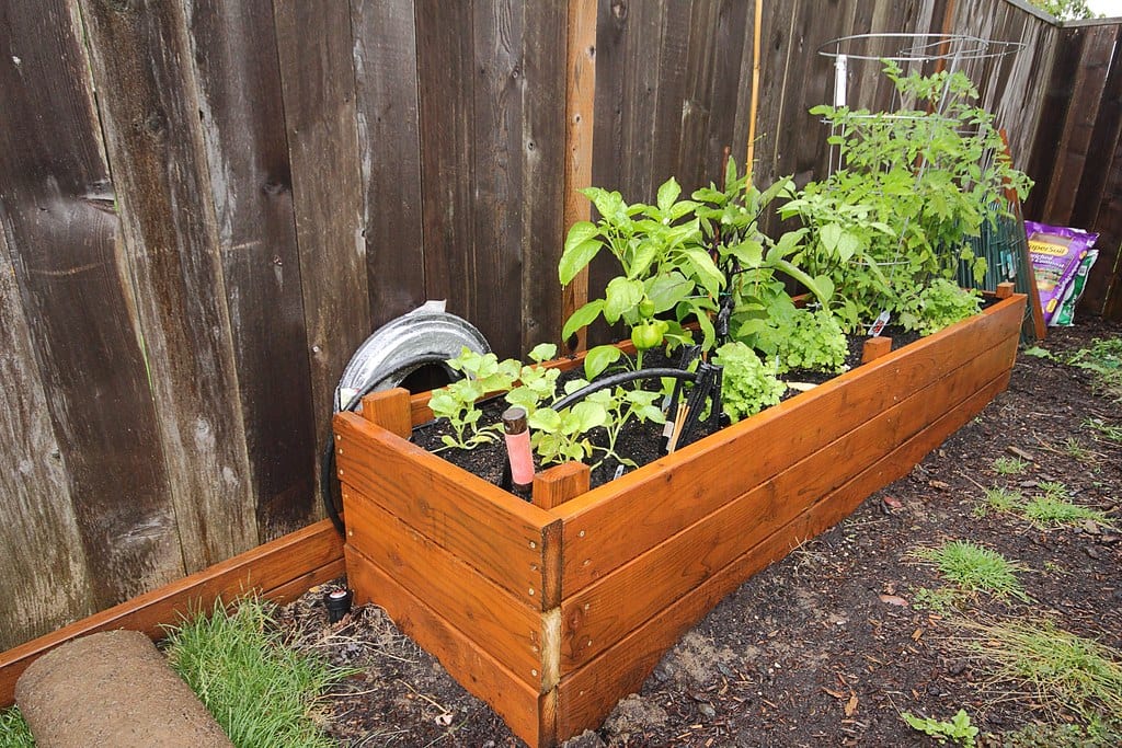 raised garden bed