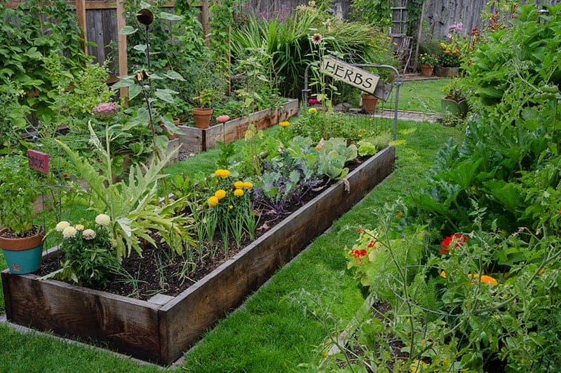 raised herb bed garden