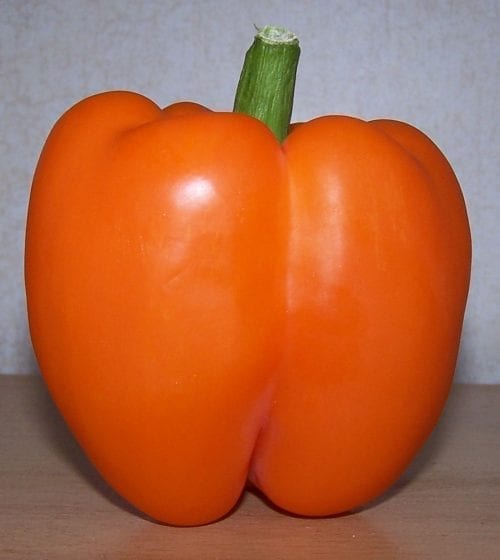 pepper-orange-bell