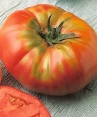 tomato-brandywine-red