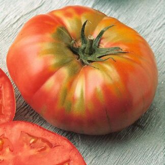 tomato-brandywine-red